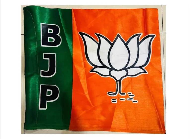 Political flags