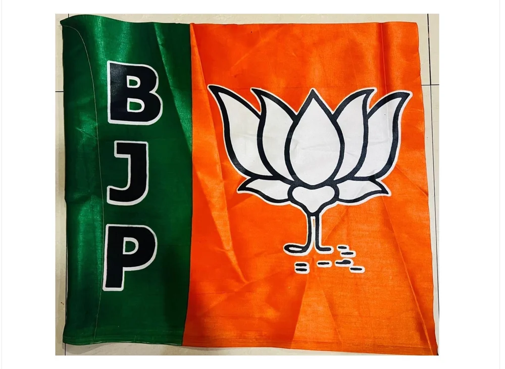 Political Flags